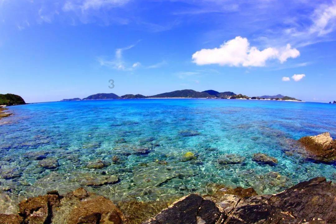 日媒:日本自民党出现“脱离派阀”动向